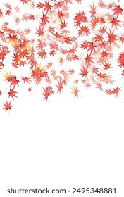 Autumn Leaves Maple Tree Autumn Background