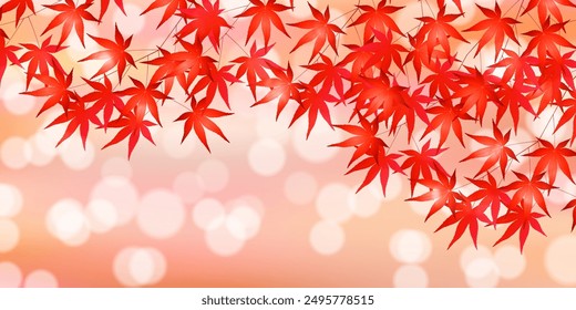 Autumn Leaves Maple Tree Autumn Background