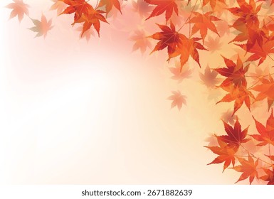 Hojas de otoño Árbol de arce Fondo de otoño