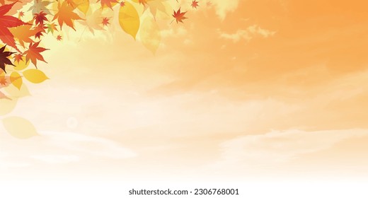 Autumn Leaves Maple Tree Landscape Background
