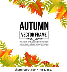 Autumn leaves, maple. Vector bright frame EPS10