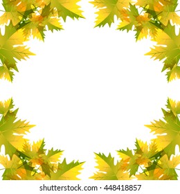 Autumn leaves, maple. Vector bright frame EPS10