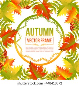 Autumn leaves, maple. Vector bright frame EPS10