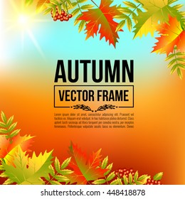 Autumn leaves, maple. Vector bright frame EPS10