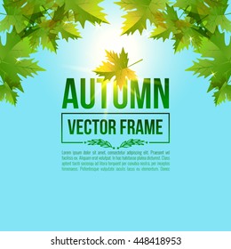 Autumn leaves, maple. Vector bright frame EPS10