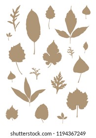 Autumn leaves monochrome vector template. Set of vector silhouettes of various leaves trees. Flat design.