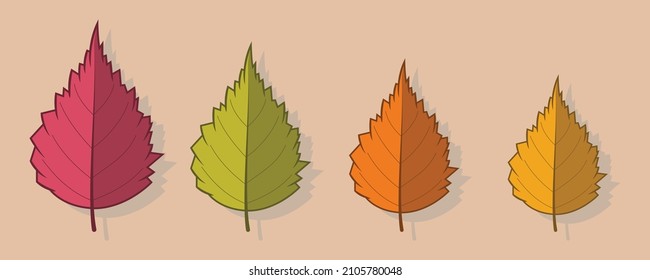 Autumn leaves multicolor, simple cartoon flat style, isolated vector illustration.
