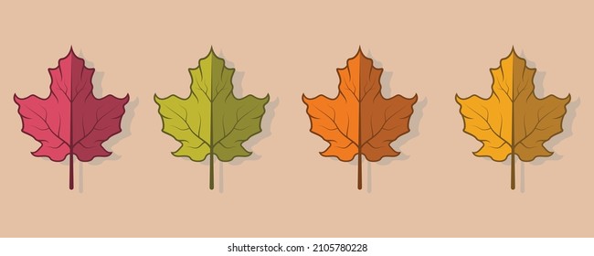 Autumn leaves multicolor, simple cartoon flat style, isolated vector illustration.
