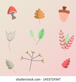 Autumn leaves ,mushroom and walnut set, isolated on pink background. - vector illustration. 