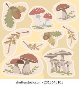 Autumn leaves and mushrooms. Vector illustration. Sticker set