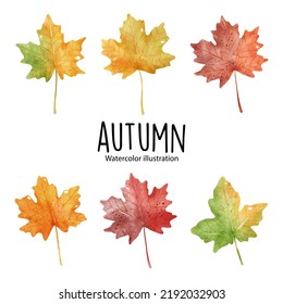 autumn, leaves and nature. Vector illustration
