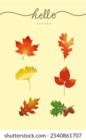Hojas de otoño y frutos secos aislados sobre fondo amarillo. Ilustración vectorial aislada. Diseño para pegatinas, logotipo, Web y App móvil