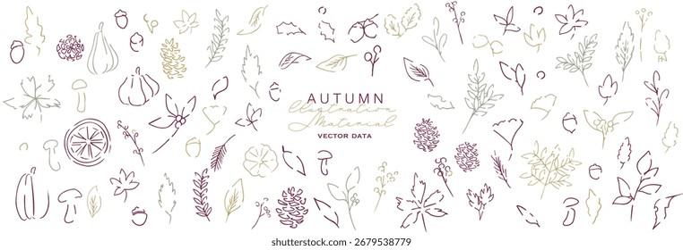 Hojas de otoño y nueces de Ilustración vectorial. Ilustración de la planta de otoño con hojas. Fondo de arte de línea de otoño.