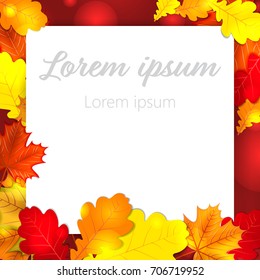 Autumn leaves oak maple background back to school