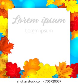 Autumn leaves oak maple background back to school