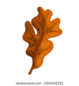 Autumn leaves of an oak tree.Vector graphics.
