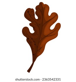 Autumn leaves of an oak tree.Vector graphics.