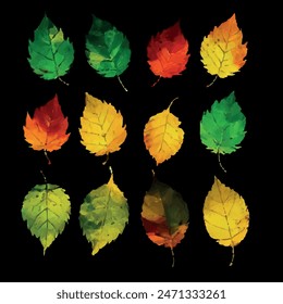 Autumn leaves on a black background, for decoration and printing, translated in vector form
