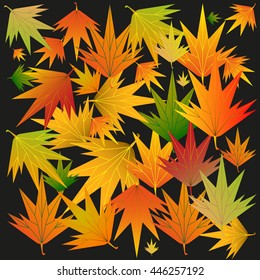 autumn leaves on a black background. vector illustration