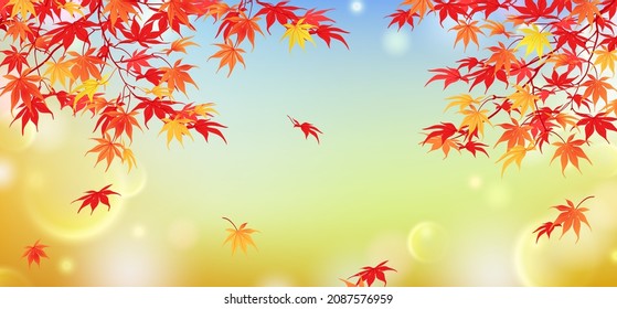 Autumn leaves on a blurry background - bokeh effect. Japanese maple in October. Horizontal composition with red and yellow branches. Vector. Flat style.