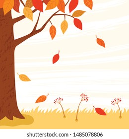 Autumn leaves on the branches of tree.Autumn background