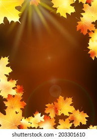Autumn leaves on colorful background. plus EPS10 vector file