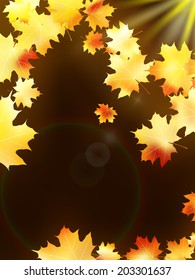 Autumn leaves on colorful background. plus EPS10 vector file
