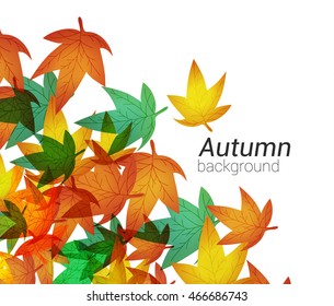 Autumn leaves on colorful background  isolated on white