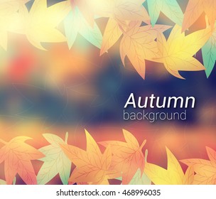 Autumn leaves on colorful background  isolated on white.