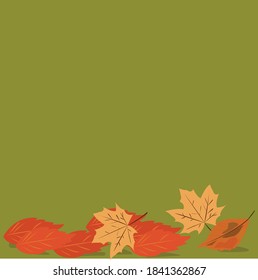 autumn leaves on green color background