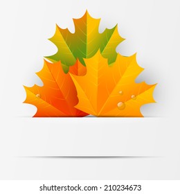 Autumn leaves on paper background