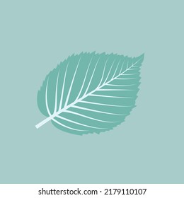 autumn leaves on pastel blue background lying flat