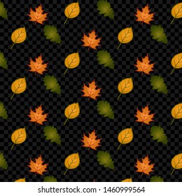 
Autumn leaves on a plain background. Vector