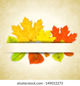 Autumn leaves on scratched paper background eps10 vector illustration