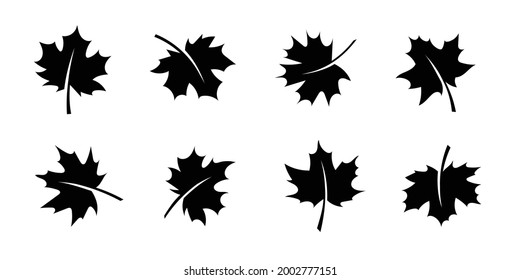 Autumn leaves on a separate background. Fall.