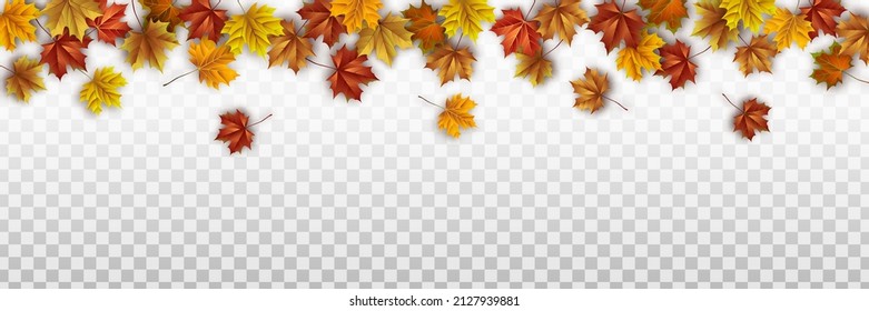Autumn Leaves on Transparent Background. Seasonal Vector Border with Foliage. - Powered by Shutterstock - Get 15% off with code: PIKWIZARD15