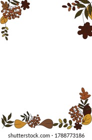 autumn leaves on white background