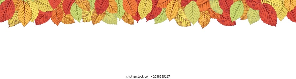 Autumn leaves on a white background, framing on top