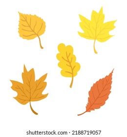 Autumn leaves on a white background, color vector illustration in a simple cartoon style