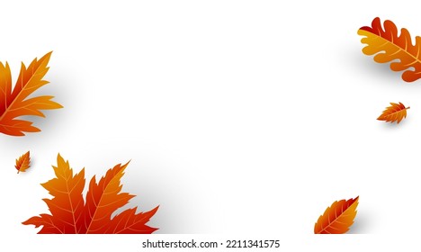 Autumn leaves on white background vector illustration