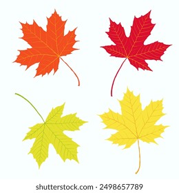 Autumn leaves on white background. Hand drawn vector collection of maple foliage. Red, yellow, orange, green, purple, pink, brown colors. Messy organic shapes