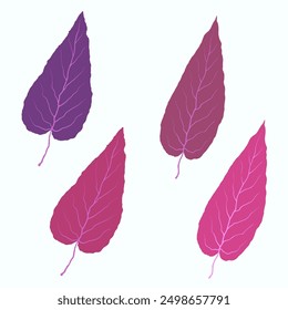 Autumn leaves on white background. Hand drawn vector colection of foliage. Red, purple, pink colors. Messy organic shapes