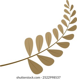 Autumn Leaves on white background. Vector illustration