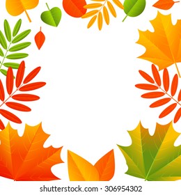 Autumn leaves on white background