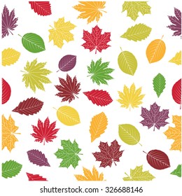  Autumn leaves on a white background. Vector pattern.