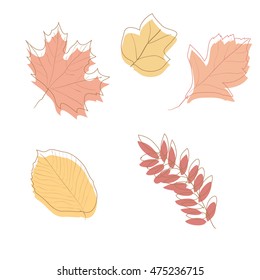 Autumn Leaves on white background , vector illustration