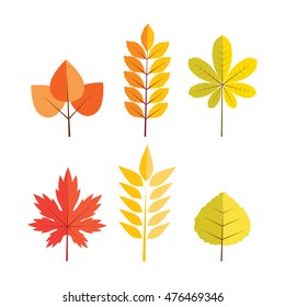 Autumn leaves on a white background