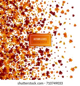 Autumn leaves on white background. Autumnal vector illustration.