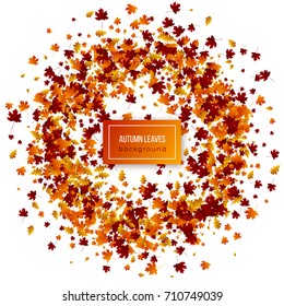 Autumn leaves on white background. Autumnal vector illustration.