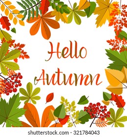 Autumn leaves on white background.Colorful autumn birch, oak, rowan, maple, chestnut, aspen leaves and acorns on white background.